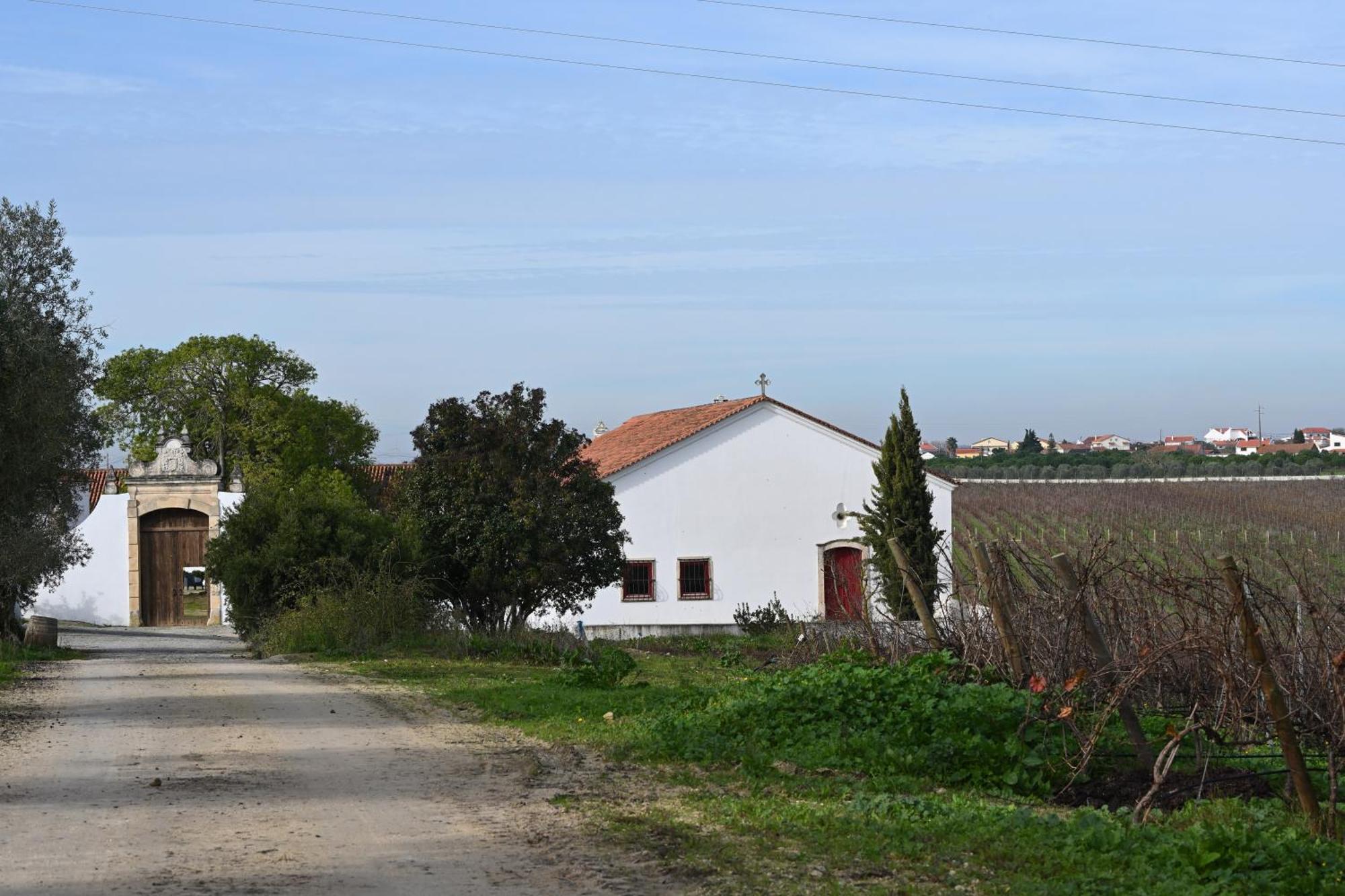 ホテル Quinta Da Lapa Manique do Intendente エクステリア 写真