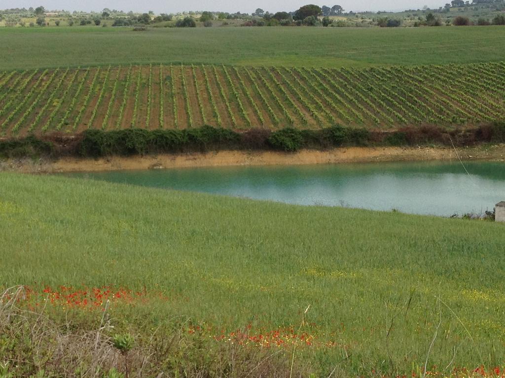 ホテル Quinta Da Lapa Manique do Intendente エクステリア 写真