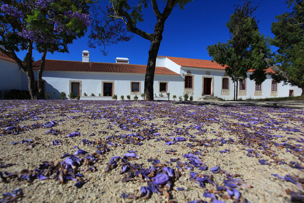 ホテル Quinta Da Lapa Manique do Intendente エクステリア 写真